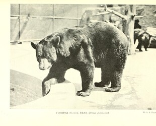 DAKOTA ZOO